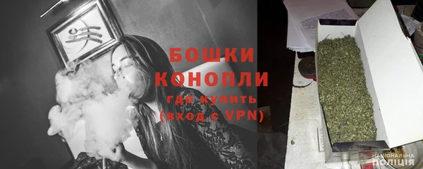 индика Слюдянка