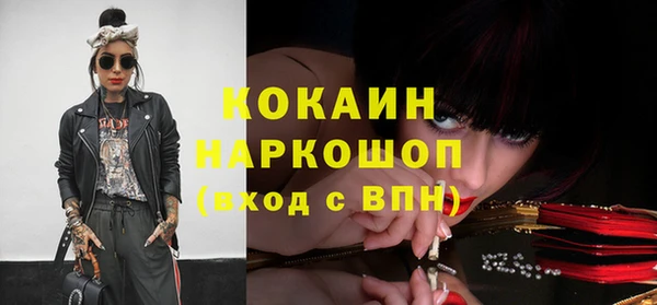 индика Слюдянка
