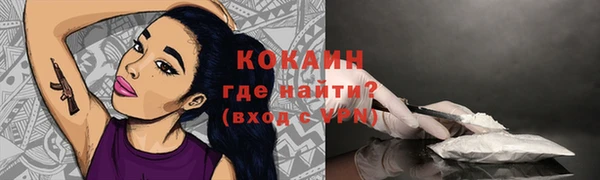 индика Слюдянка