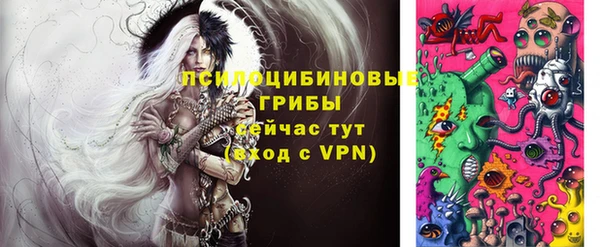 индика Слюдянка