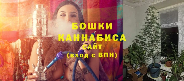 PSILOCYBIN Снежногорск