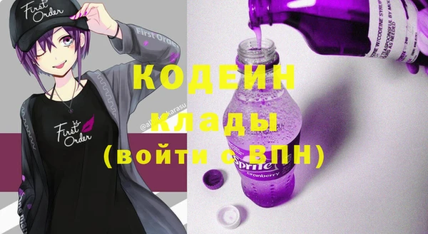 индика Слюдянка