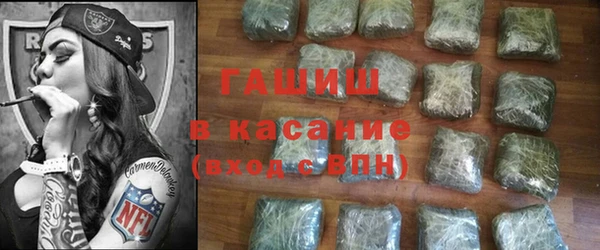 индика Слюдянка