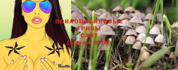 индика Слюдянка