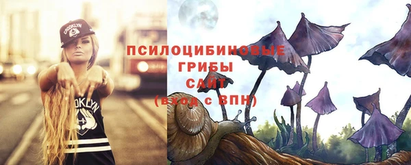 jwh Снежинск