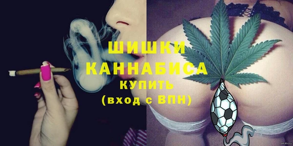 индика Слюдянка
