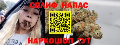 ешки Дубна