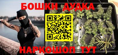ешки Дубна
