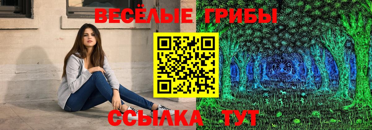 Псилоцибиновые грибы Psilocybe  Стрежевой  Галлюциногенные грибы GOLDEN TEACHER 